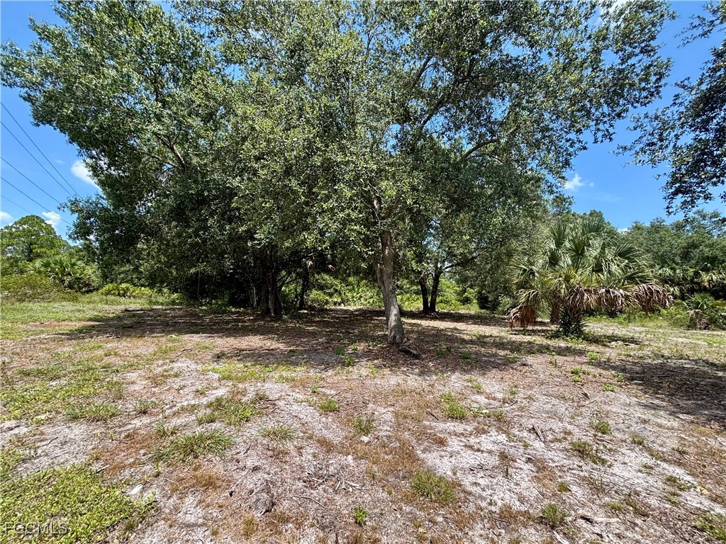 4405 E 2nd Street Lehigh Acres FL 33936 2025004432 image10