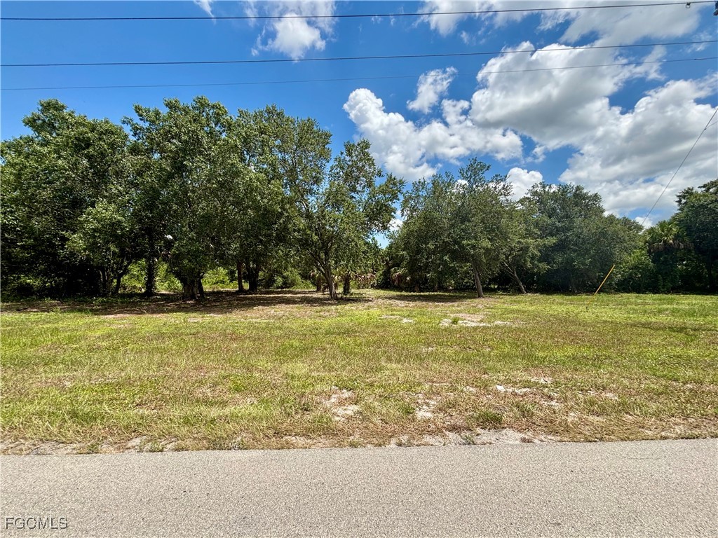 4405 E 2nd Street Lehigh Acres FL 33936 2025004432 image2