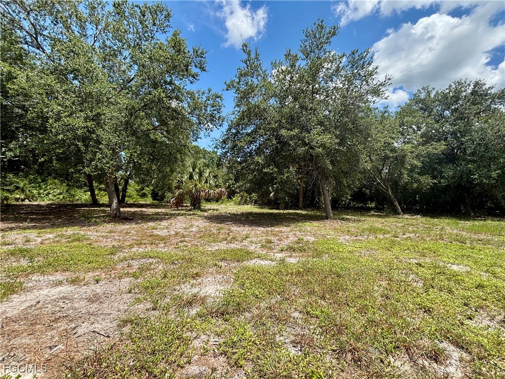 4405 E 2nd Street Lehigh Acres FL 33936 2025004432 image6