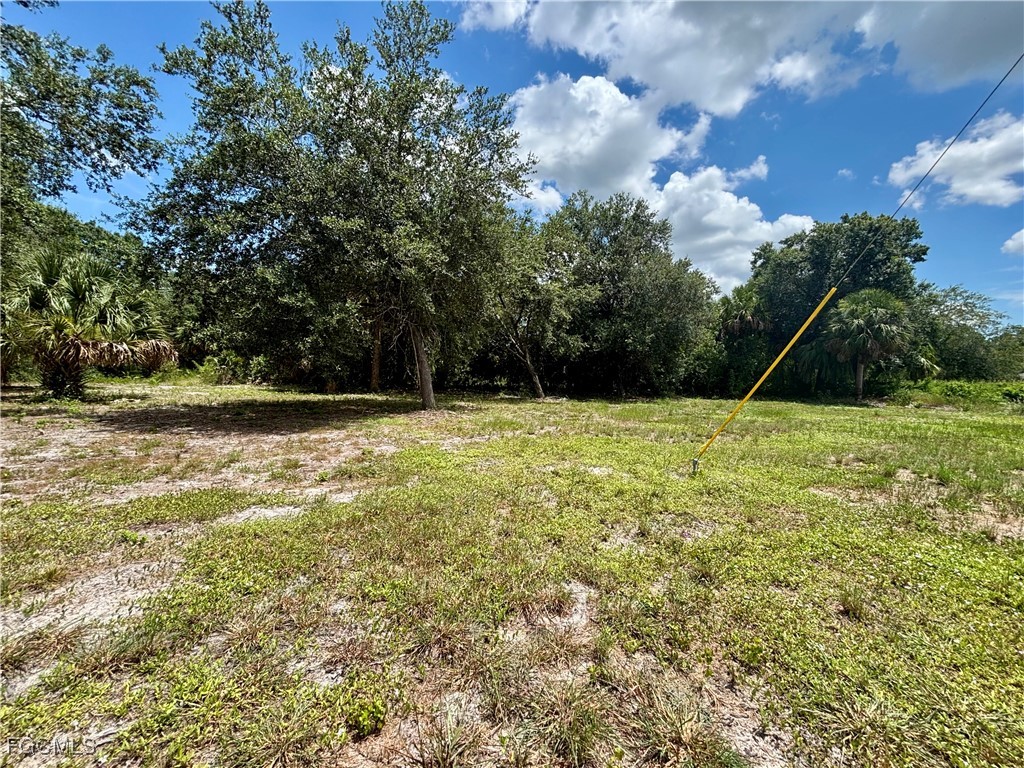 4405 E 2nd Street Lehigh Acres FL 33936 2025004432 image8