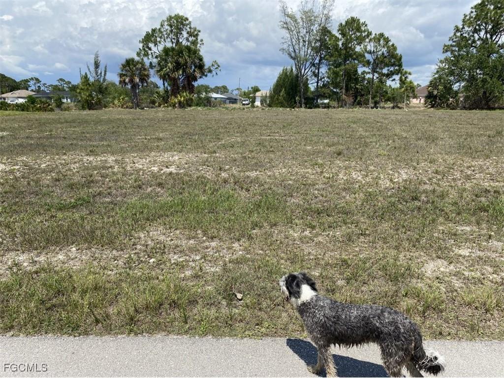 4405 NE 22nd Avenue Cape Coral FL 33909 2025022800 image2