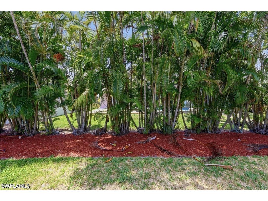 4406 SW 25th Court Cape Coral FL 33914 226018714 image41