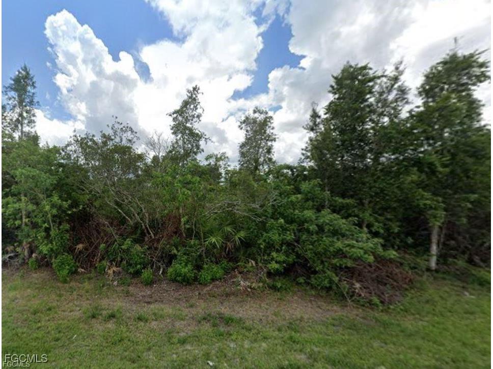 441 Thelma Court Lehigh Acres FL 33972 2025017161 image3