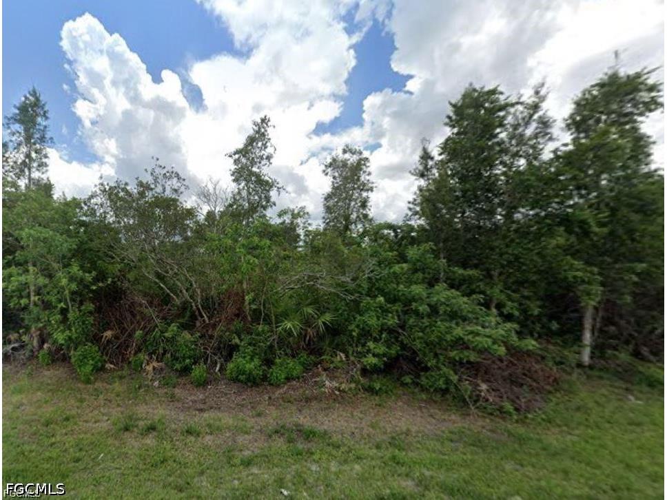 441 Thelma Court Lehigh Acres FL 33972 2026020943 image3