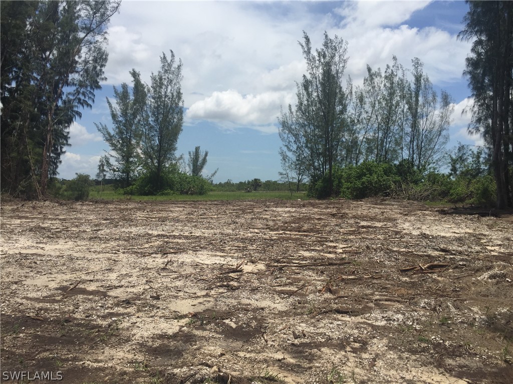 4410 NW 20th Terrace Cape Coral FL 33993 220036957 image1