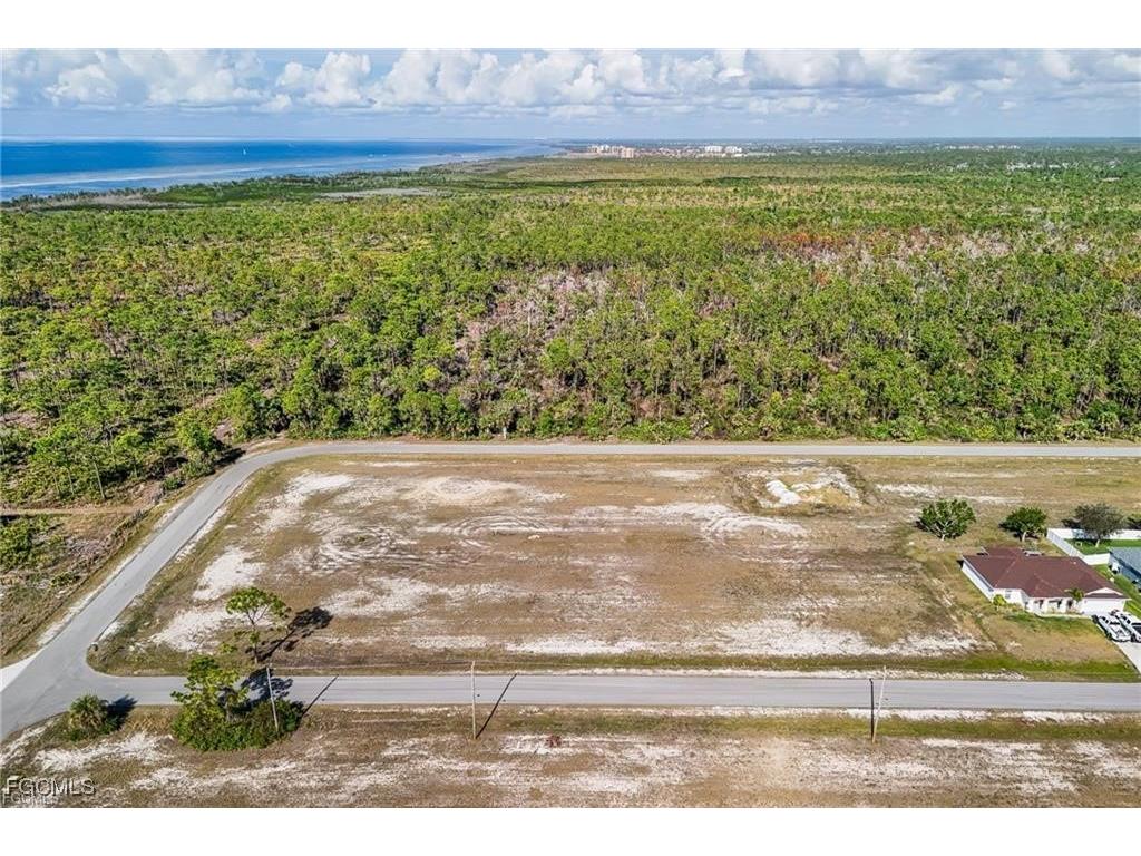 4410 NW 40th Lane Cape Coral FL 33993 2025009045 image18