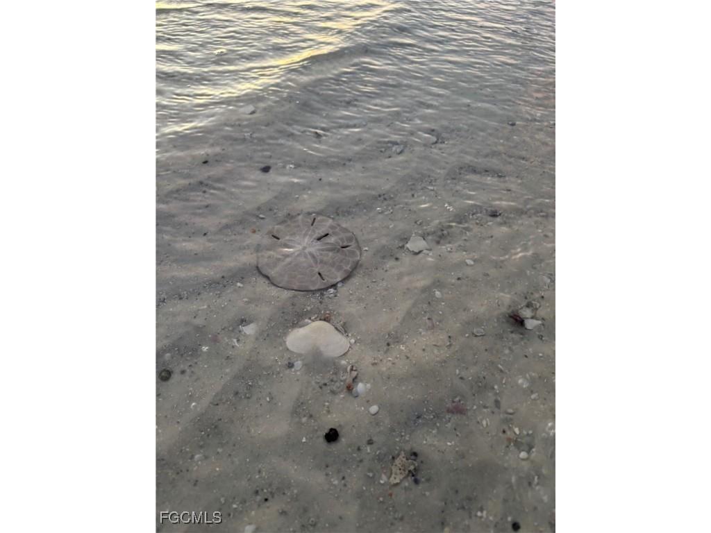 4411 Bay Beach Lane #744 Fort Myers Beach FL 33931 2025021186 image31