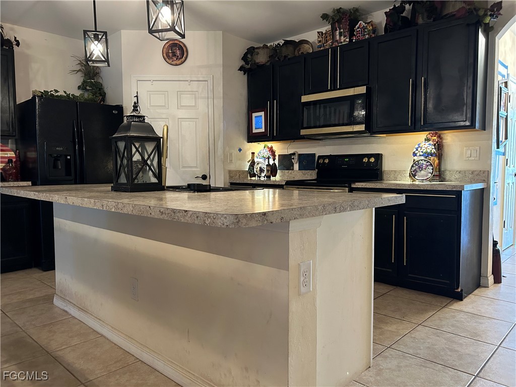 442 SW 19th Lane Cape Coral FL 33991 2025001208 image3