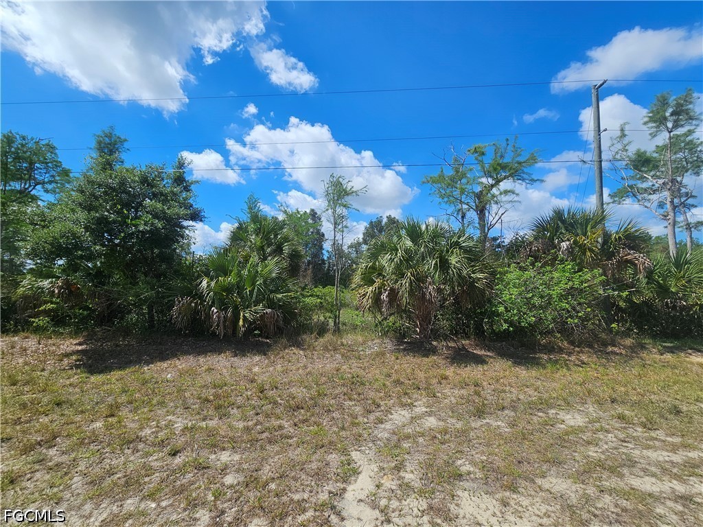 443 Greenbriar Boulevard Lehigh Acres FL 33972 2026020013 image1