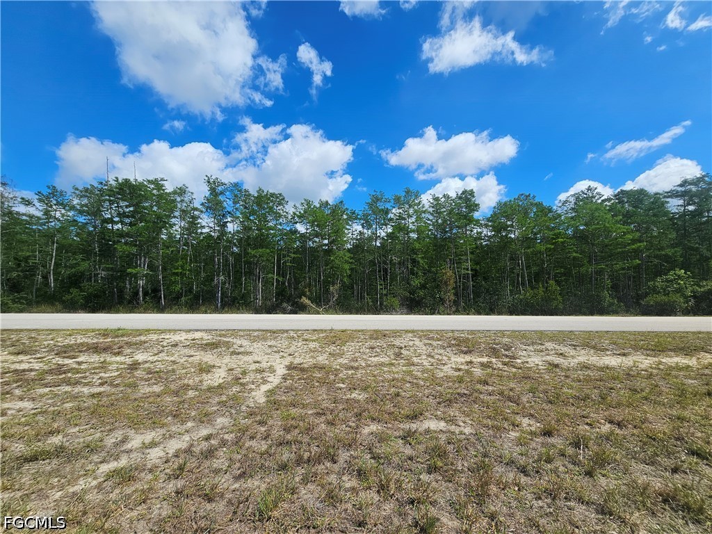 443 Greenbriar Boulevard Lehigh Acres FL 33972 2026020013 image4