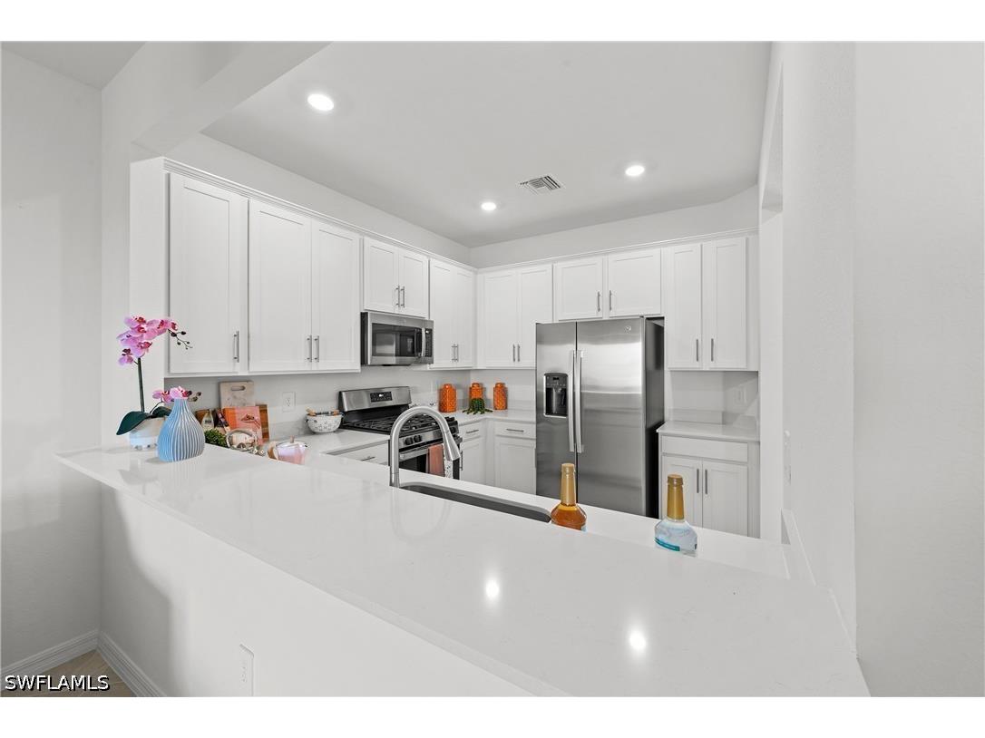 44308 Caraton Terrace Babcock Ranch FL 33982 226018707 image7