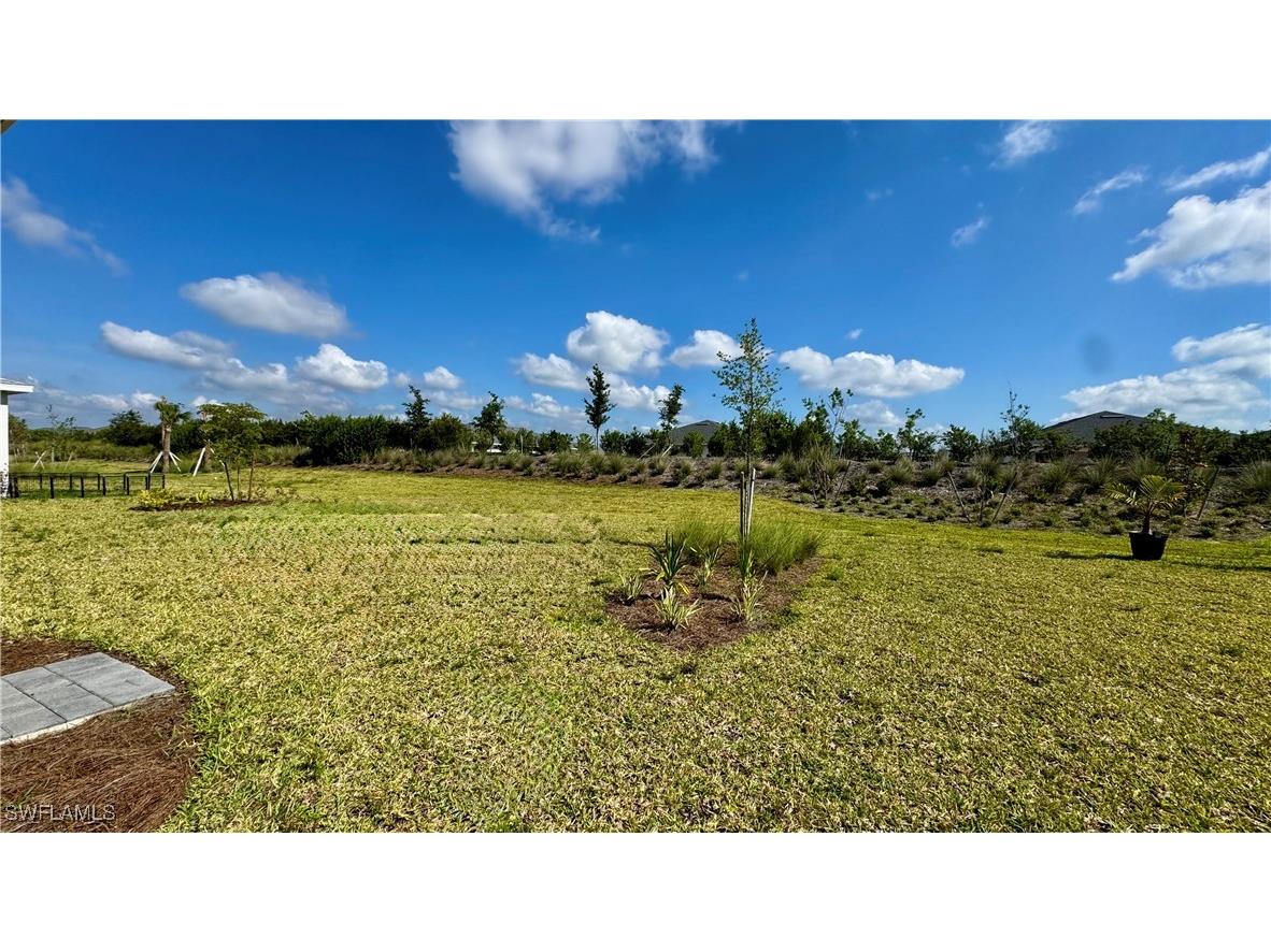 44440 Cable Creek Drive Babcock Ranch FL 33982 225054873 image43