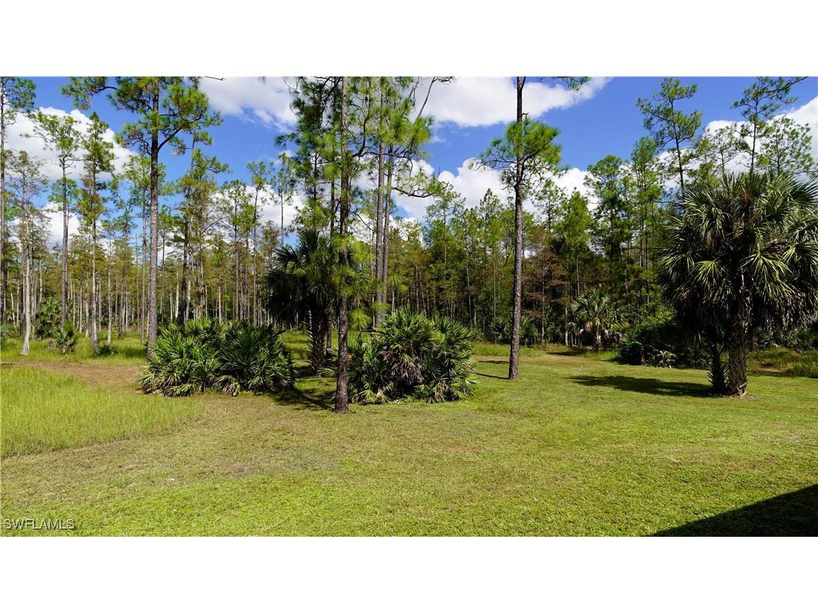 4445 2nd Avenue NE Naples FL 34120 225075877 image31