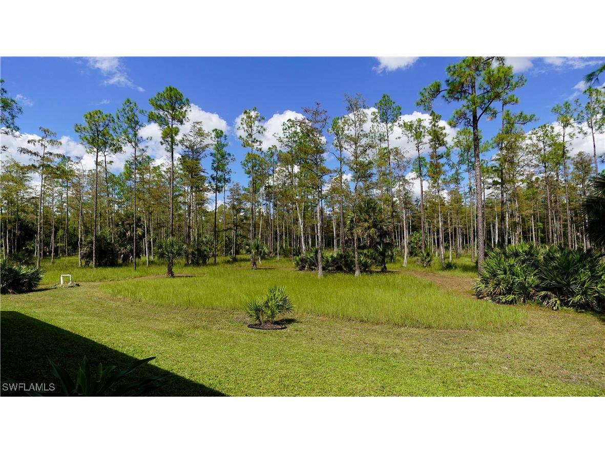 4445 2nd Avenue NE Naples FL 34120 225075877 image32