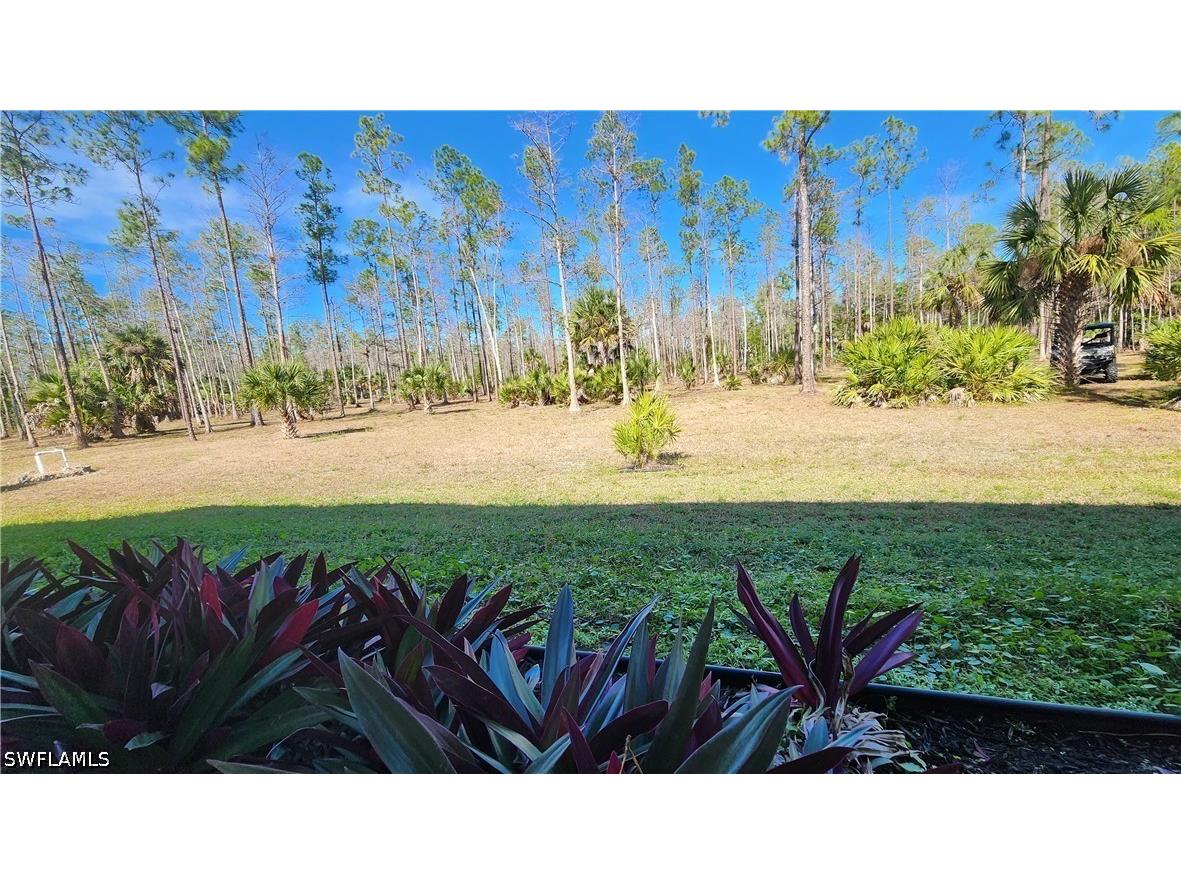 4445 2nd Avenue NE Naples FL 34120 226006400 image46