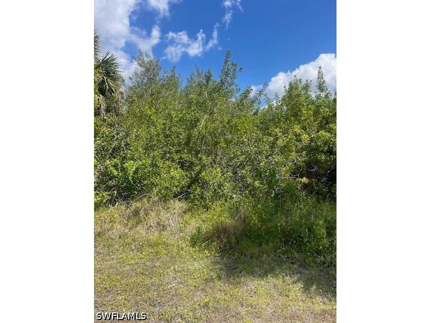 4450 Bayview Street Port Charlotte FL 33948 226018657 image3
