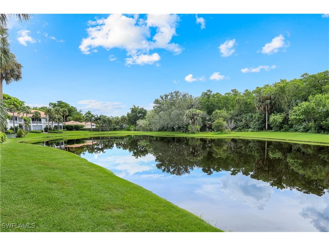 4451 Riverwatch Drive #201 Bonita Springs FL 34134 225074319 image29