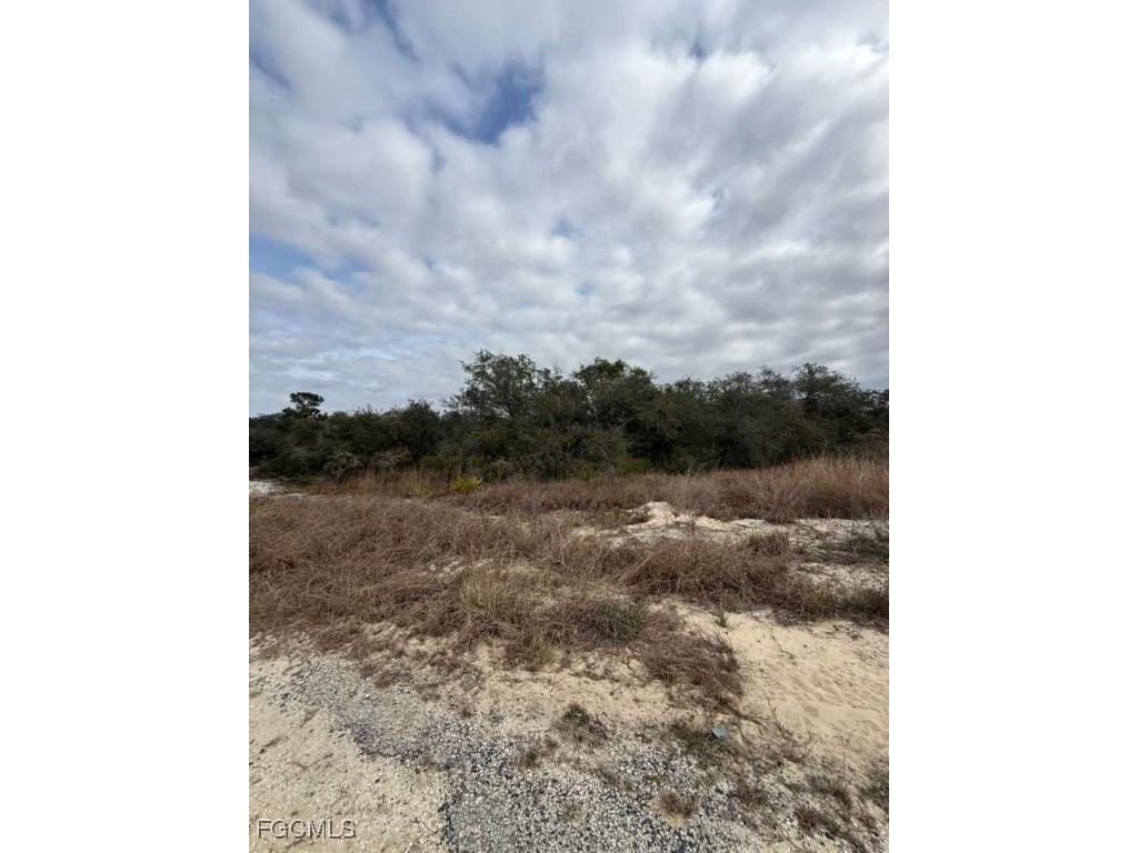 446 Fawnwood Avenue Lake Placid FL 33852 2026002207 image4