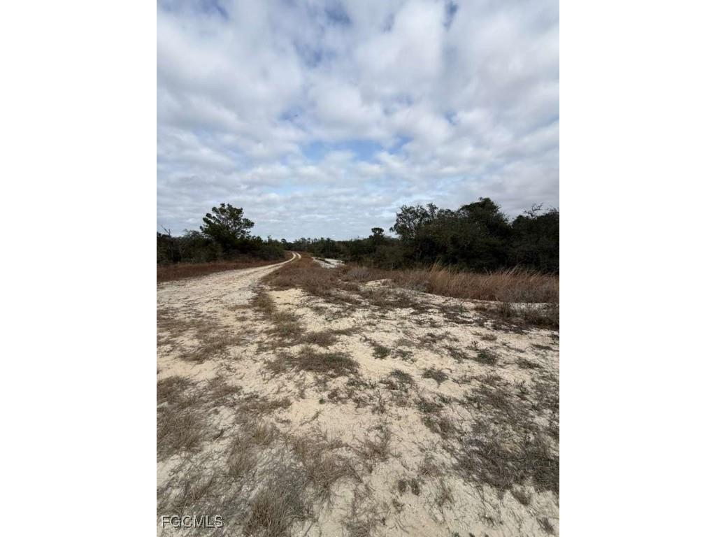 446 Fawnwood Avenue Lake Placid FL 33852 2026002207 image5