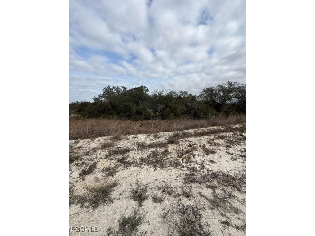 446 Fawnwood Avenue Lake Placid FL 33852 2026002207 image6