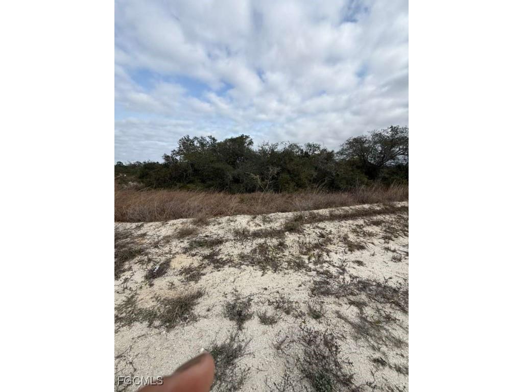 446 Fawnwood Avenue Lake Placid FL 33852 2026002207 image8