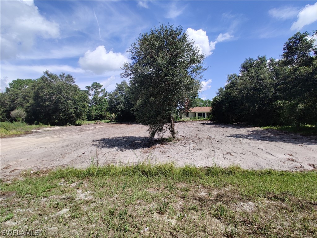 447 Redwing Street Lehigh Acres FL 33974 222060580 image1