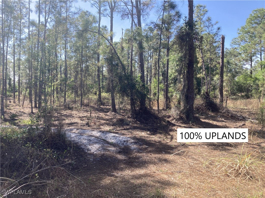 4470 (est.) 45th Ave Ne Naples FL 34120 225020287 image1