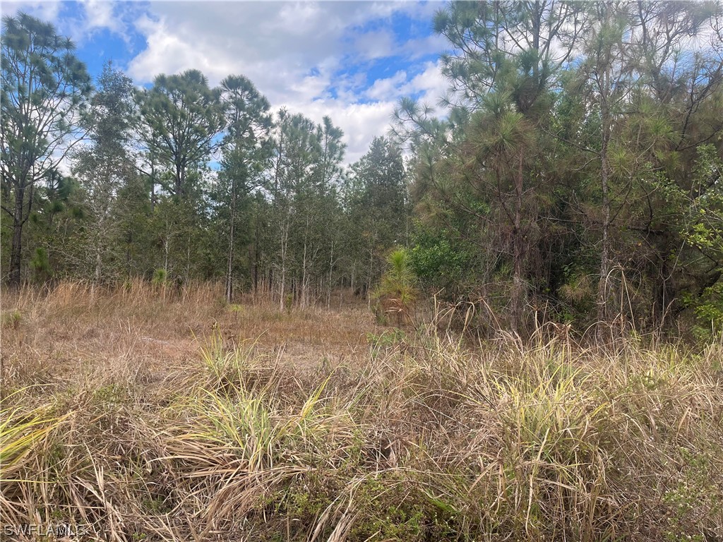 4481 68th Avenue NE Naples FL 34120 223035468 image1