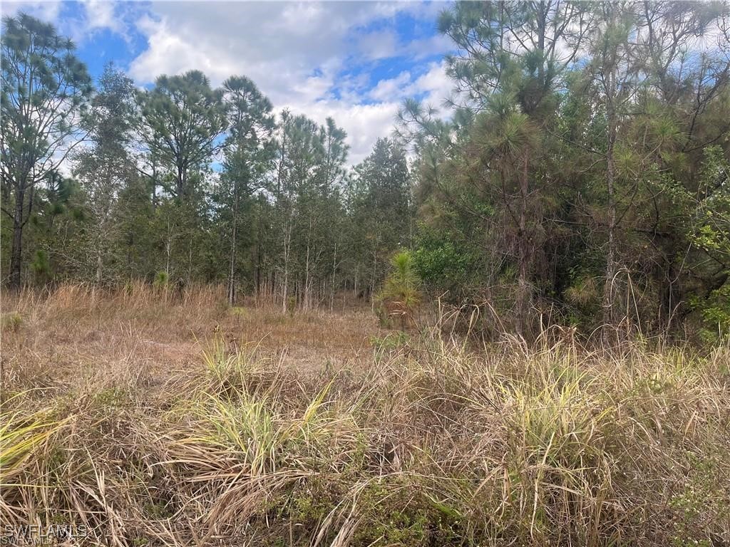 4481 68th Avenue NE Naples FL 34120 226001944 image3