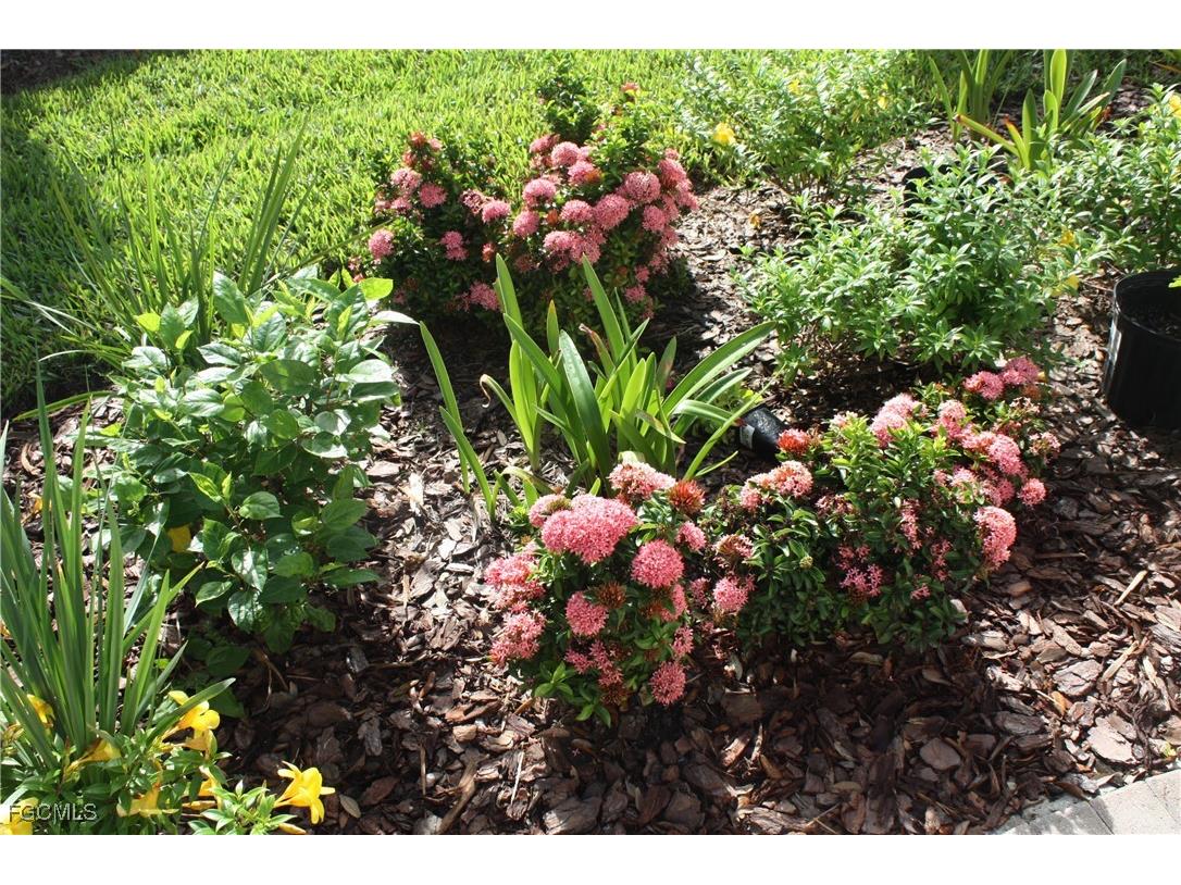 4482 Waterscape Lane Fort Myers FL 33966 2025019838 image4