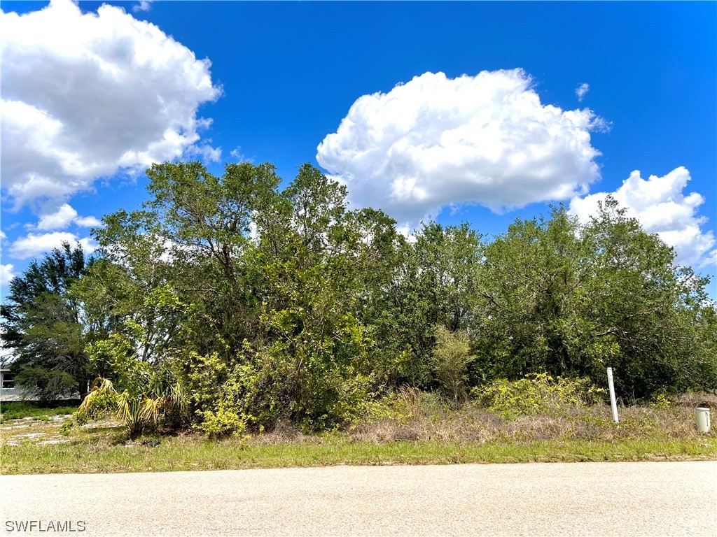 449 Redwing Street Lehigh Acres FL 33974 223030520 image1