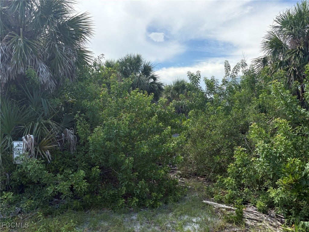 4490 Conch Shell Drive Captiva FL 33924 2025004796 image17