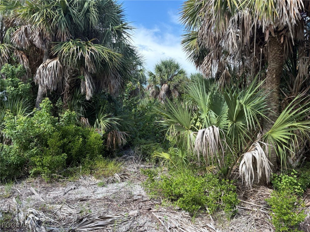 4490 Conch Shell Drive Captiva FL 33924 2025004796 image19