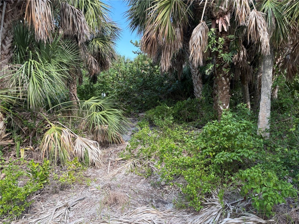 4490 Conch Shell Drive Captiva FL 33924 2025004796 image20