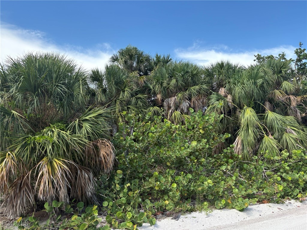 4490 Conch Shell Drive Captiva FL 33924 2025004796 image8
