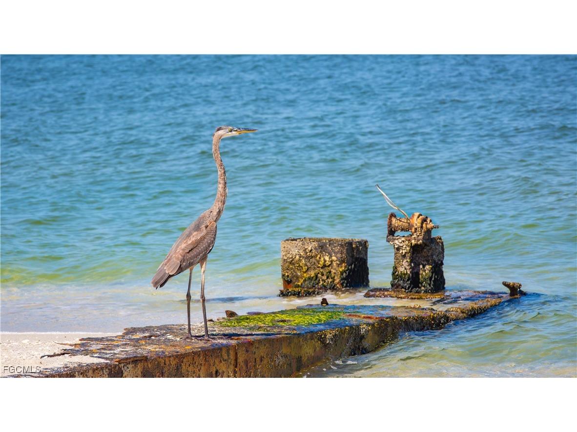 4491 Butterfly Shell Drive Upper Captiva FL 33924 2025008791 image21