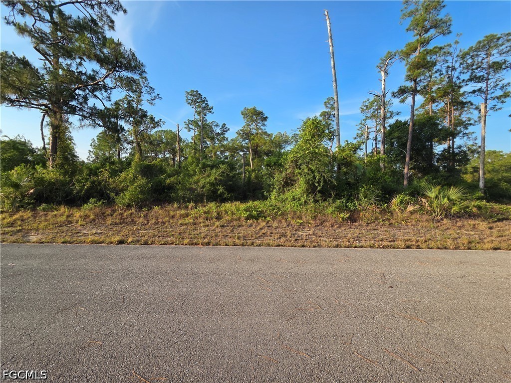 4504 E 7th Street Lehigh Acres FL 33972 2026021389 image1