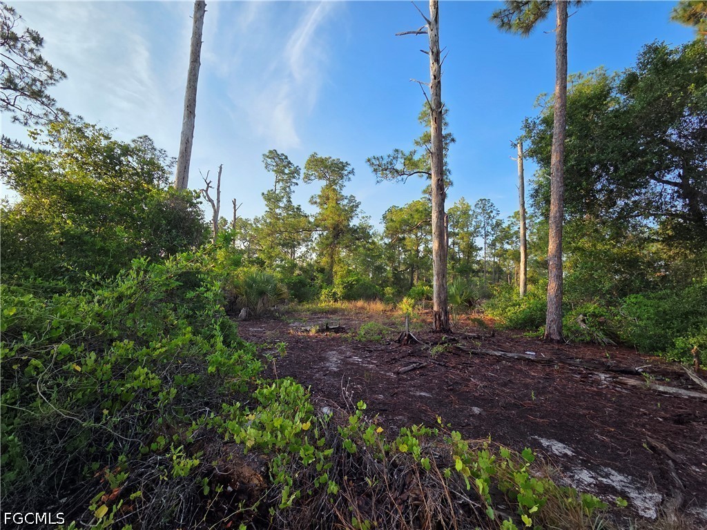 4504 E 7th Street Lehigh Acres FL 33972 2026021389 image2