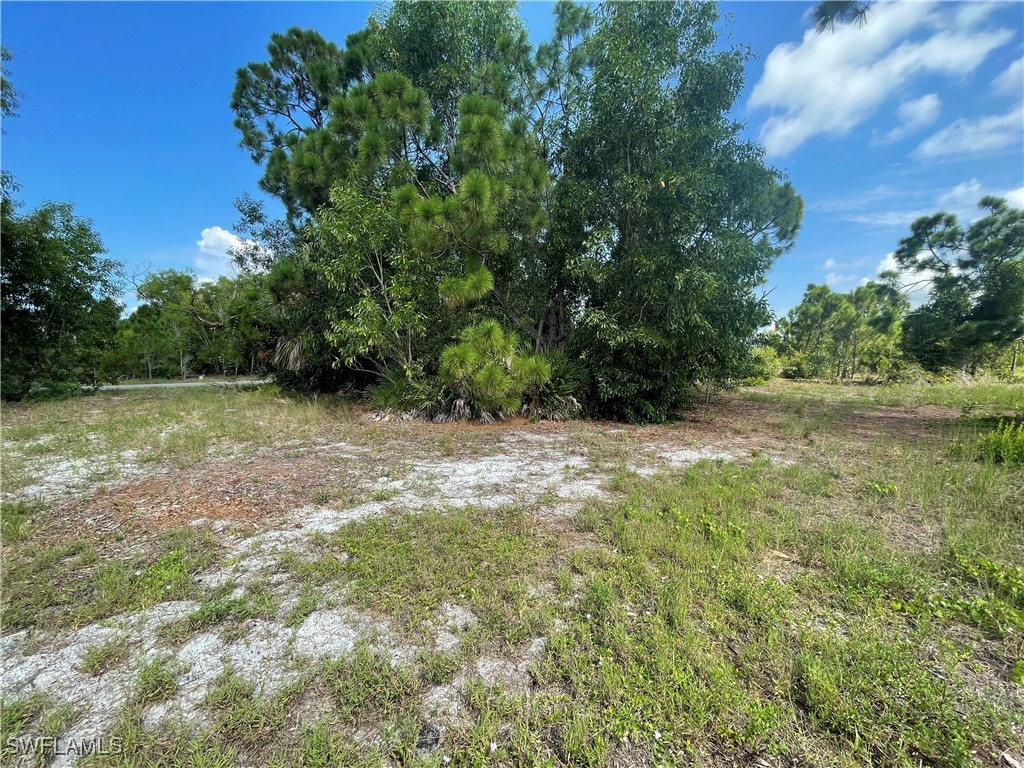 4513 NW 34th Place Cape Coral FL 33993 224067294 image8
