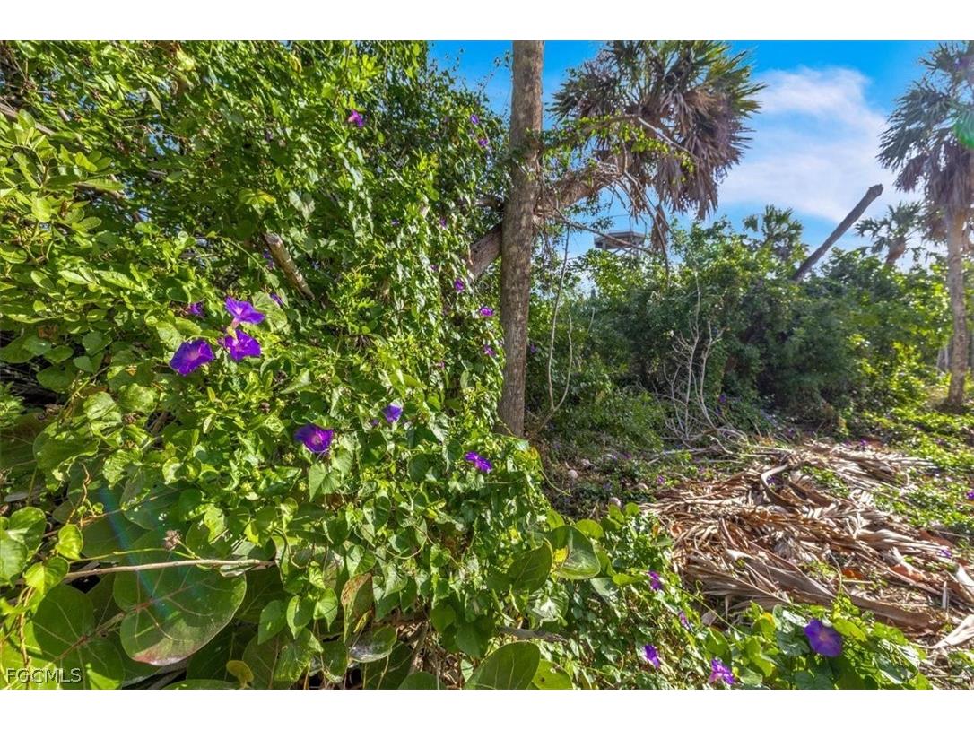 4520 Hidden Lane Captiva FL 33924 2026013742 image23