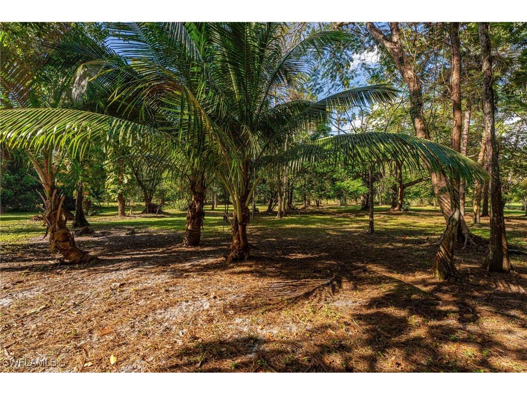 4535 3rd Avenue NW Naples FL 34119 224088498 image2