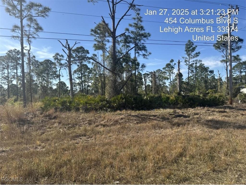 454 Columbus Boulevard S Lehigh Acres FL 33974 225058695 image3