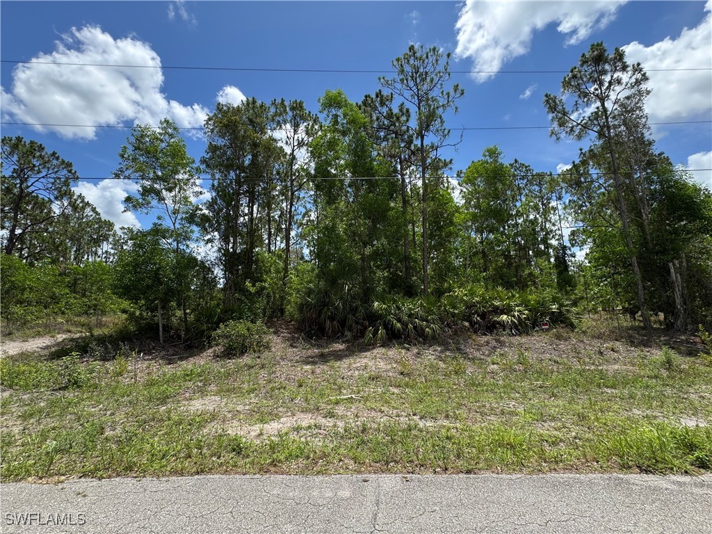 454 Jaipur Drive Lehigh Acres FL 33974 225054394 image1