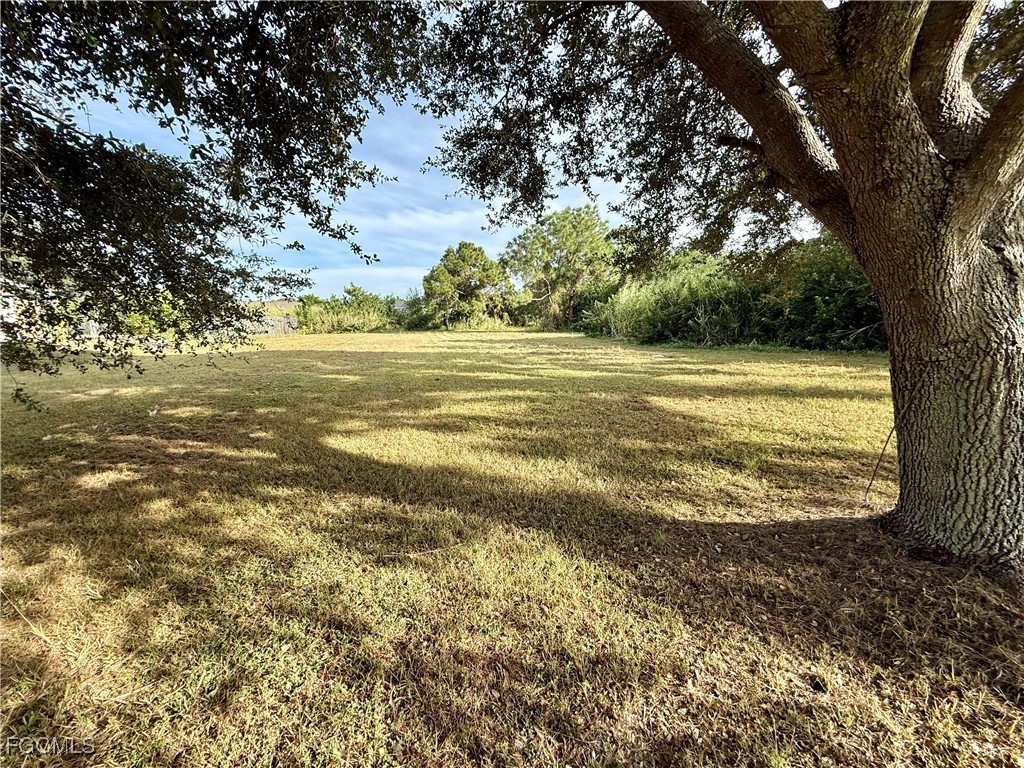 4540 Golfview Boulevard Lehigh Acres FL 33973 2025018696 image2