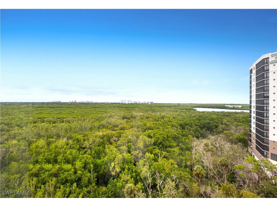 455 Cove Tower Drive #1101 Naples FL 34110 225074314 image30