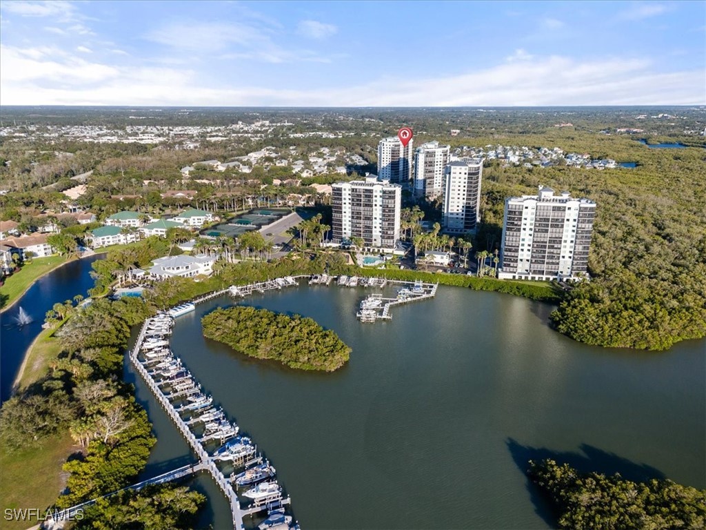 455 Cove Tower Drive #1101 Naples FL 34110 225074314 image46