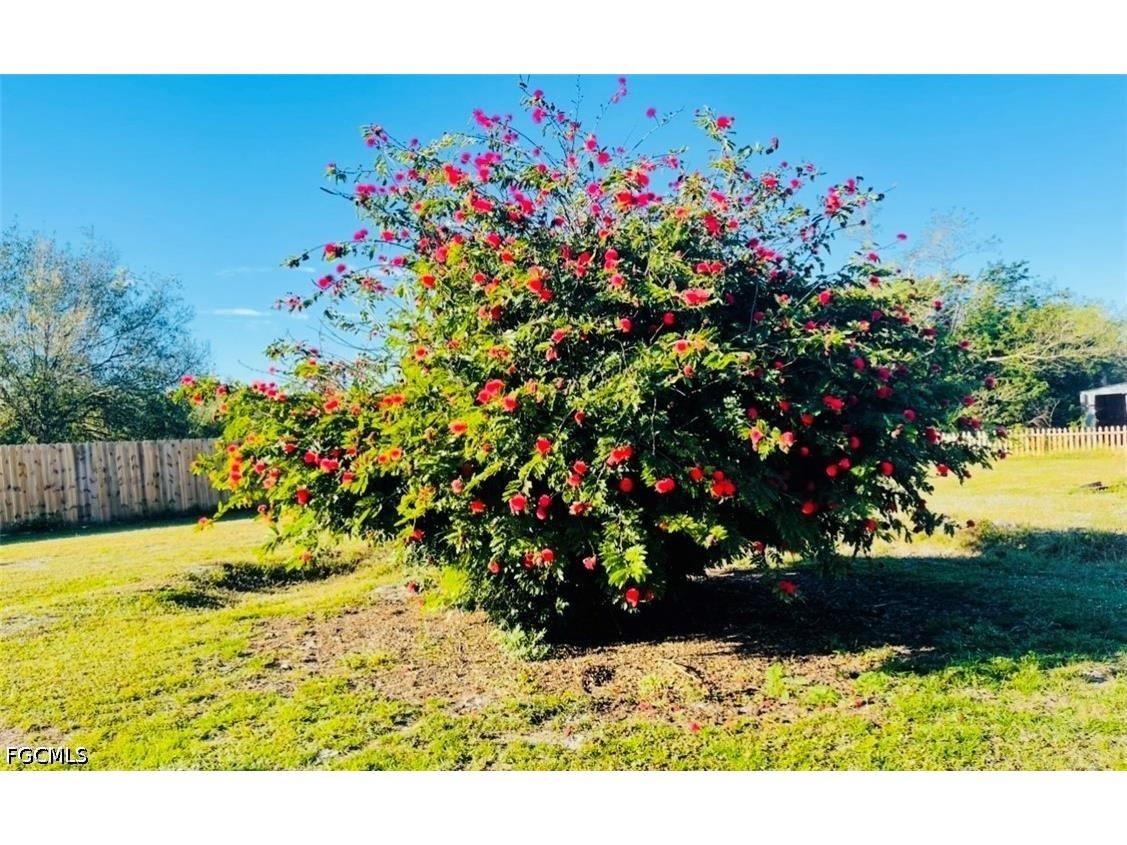 455 Trader Road Fort Denaud FL 33935 2026023478 image19