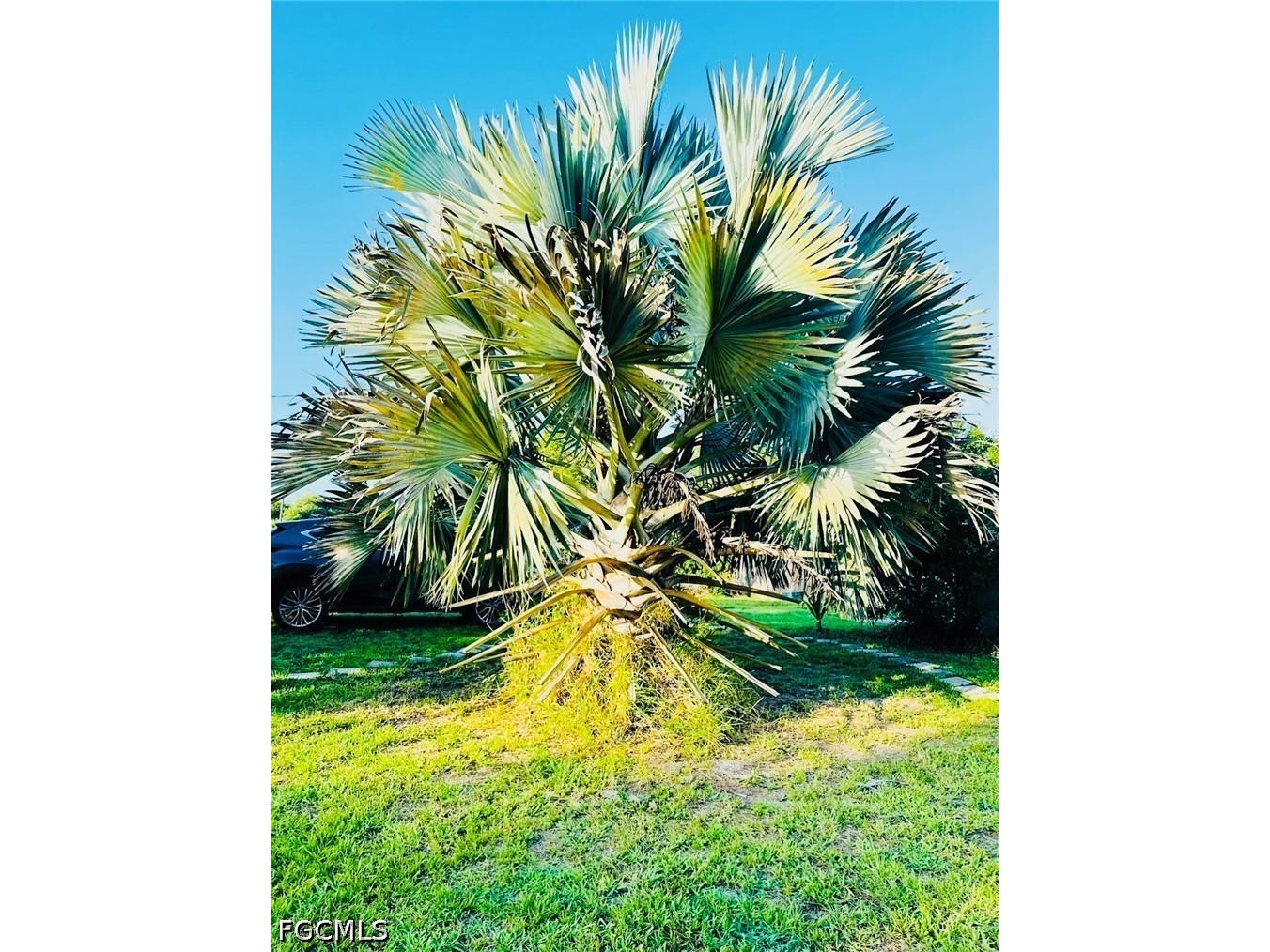455 Trader Road Fort Denaud FL 33935 2026023478 image29