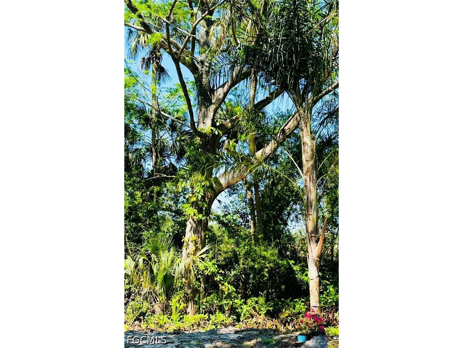 455 Trader Road Fort Denaud FL 33935 2026023478 image38
