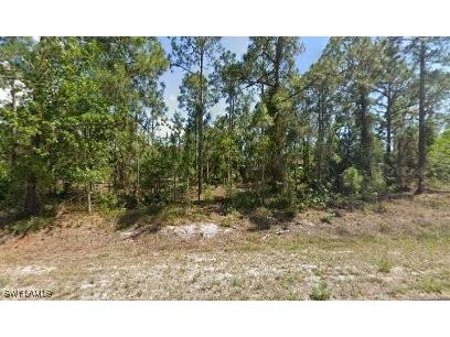 456 Boleyn Circle Lehigh Acres FL 33974 225054222 image1